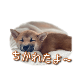 791626739