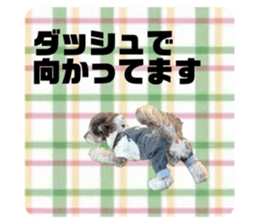 791633918