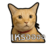 791634410