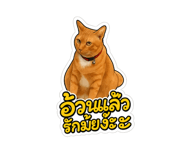 791634415