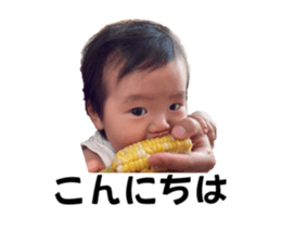 791636530