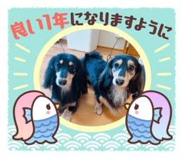 791637337