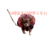 791639198