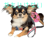 791639213