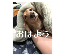 791645304