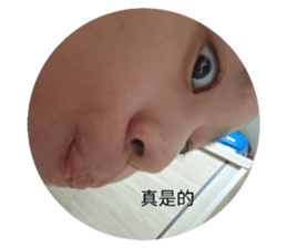 791685087