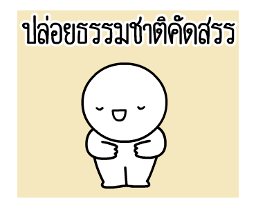 ลายที่ 27