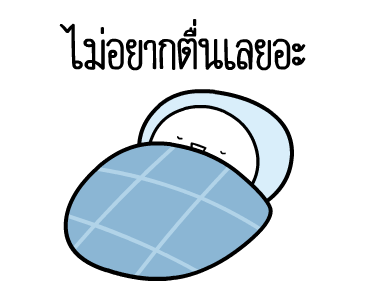 ลายที่ 47