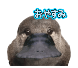 791759122