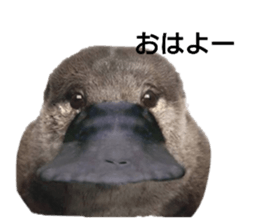 791759128