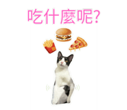 791776143