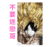 791776158