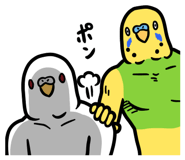 791783894