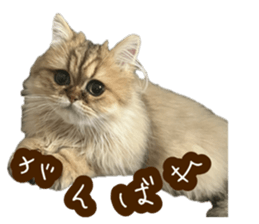 791790470