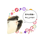 791797857