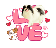 791797864