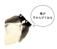 791797870