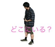 791812036