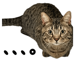 791847306
