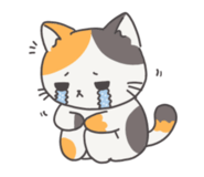 791849642