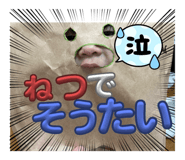 791863944