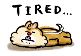 ลายที่ 47