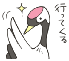 7919222