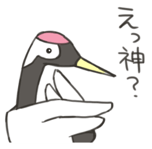 7919242