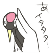 7919253