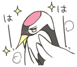 7919258