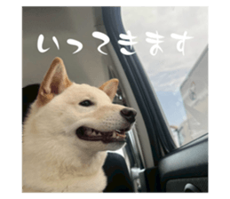 791929380