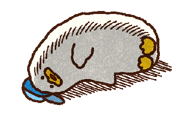 Here comes the lazy duck! รูปที่ 14