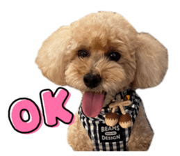 791943809