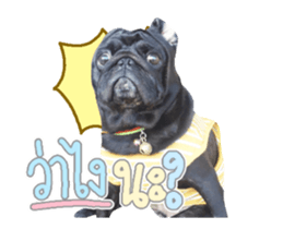 79194637