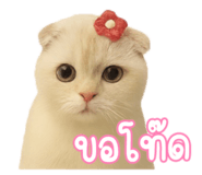 791950191