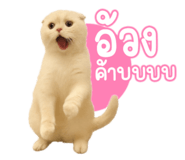 791950197