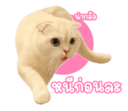 791950199