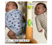 791956110