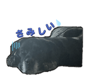 791989485