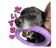 791989487