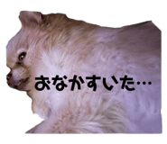 791991741