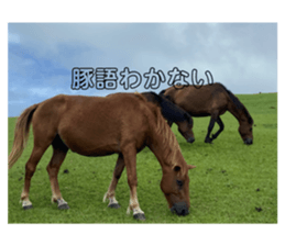 792002512