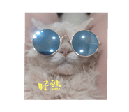 792004197