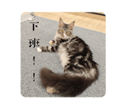 792004215