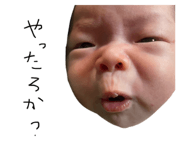 792025379