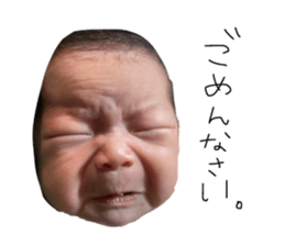 792025380