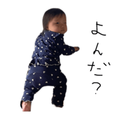 792025381