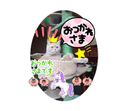 792025566