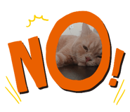 792025571
