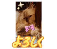 792025583